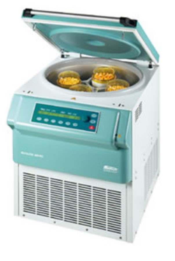 Rotanta 460 RC